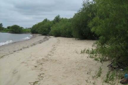Elbdeich Camping Kollmar