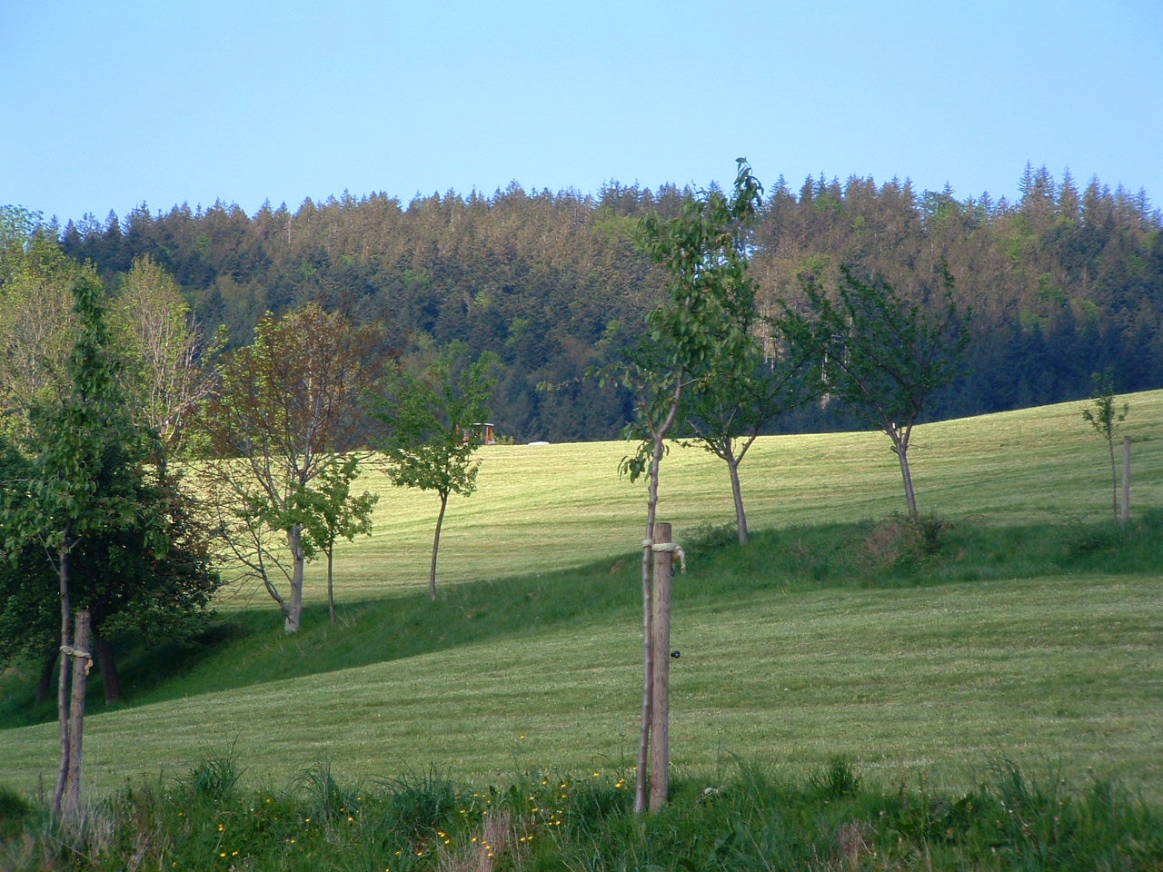 Camping Kirnermartes Hof