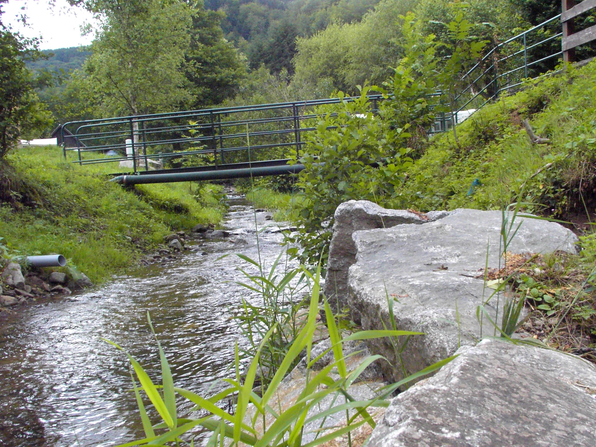 Camping Les Bouleaux