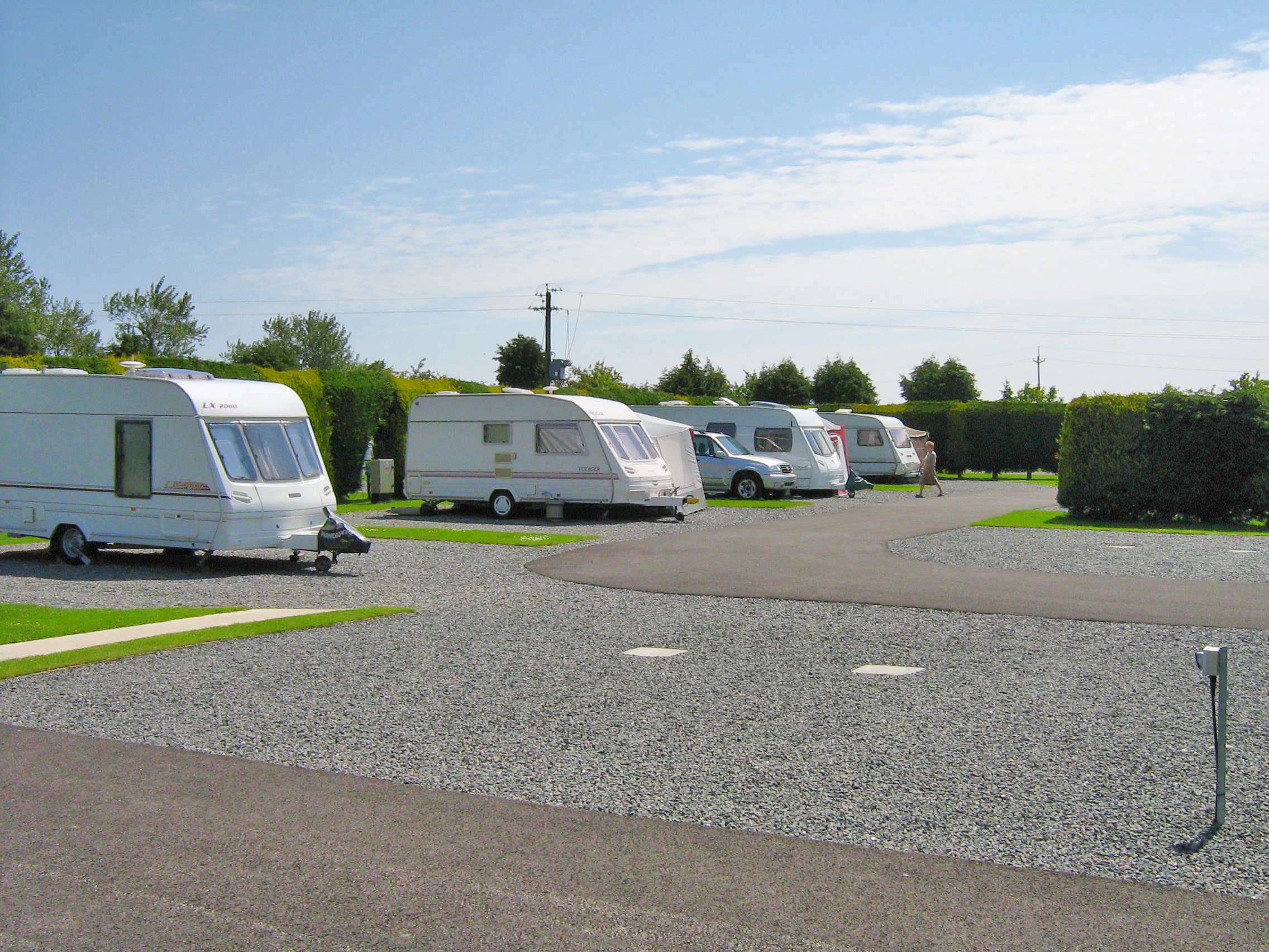 Camping Cherry Tree Site