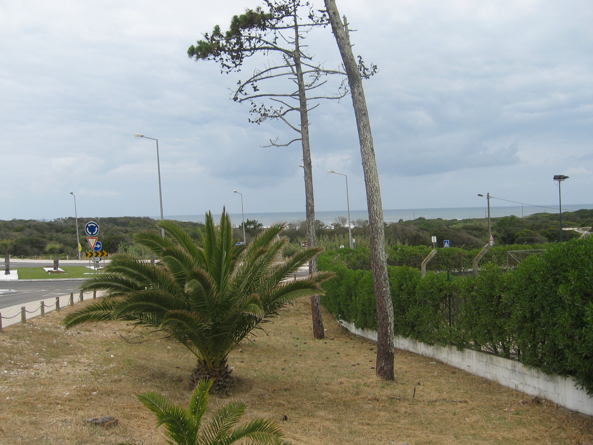 Parque Municipal de Campismo de Pedrogao