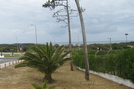 Parque Municipal de Campismo de Pedrogao
