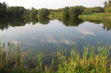 Terkelsbøl Lystfiskeri & Camping
