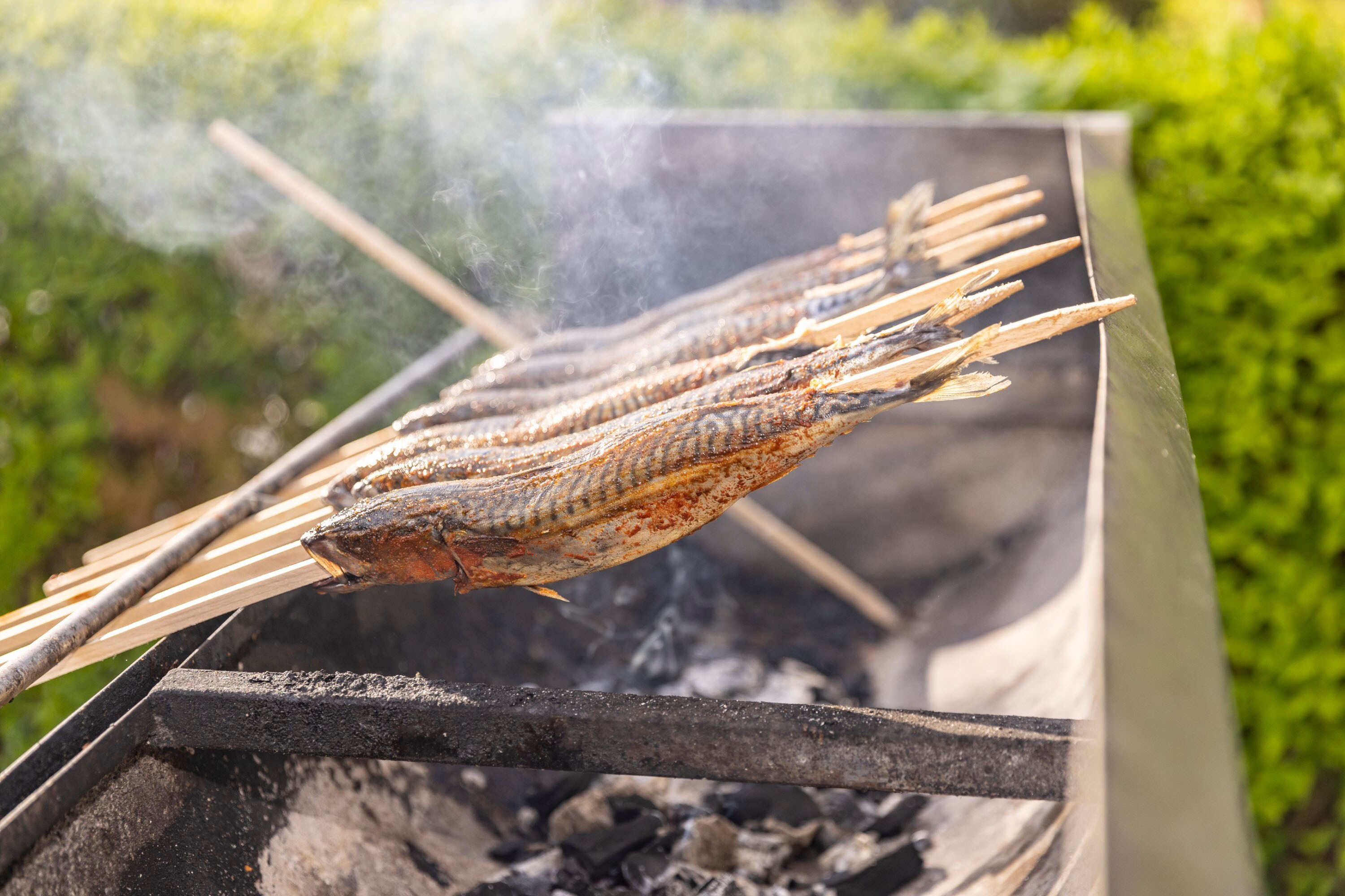 Camping Au an der Donau