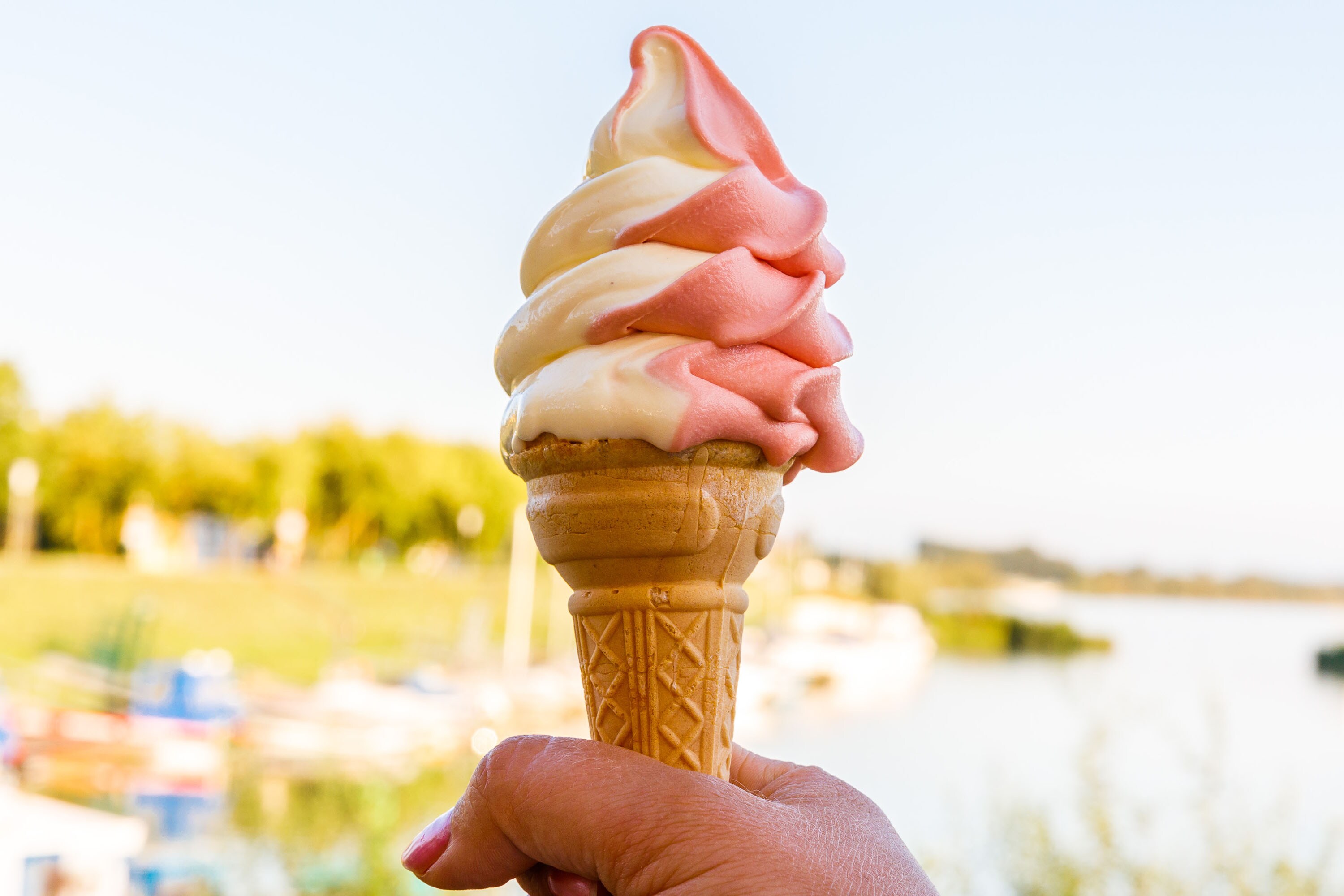 Camping Au an der Donau