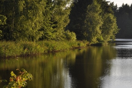 Haarstubencampingplatz Reingers