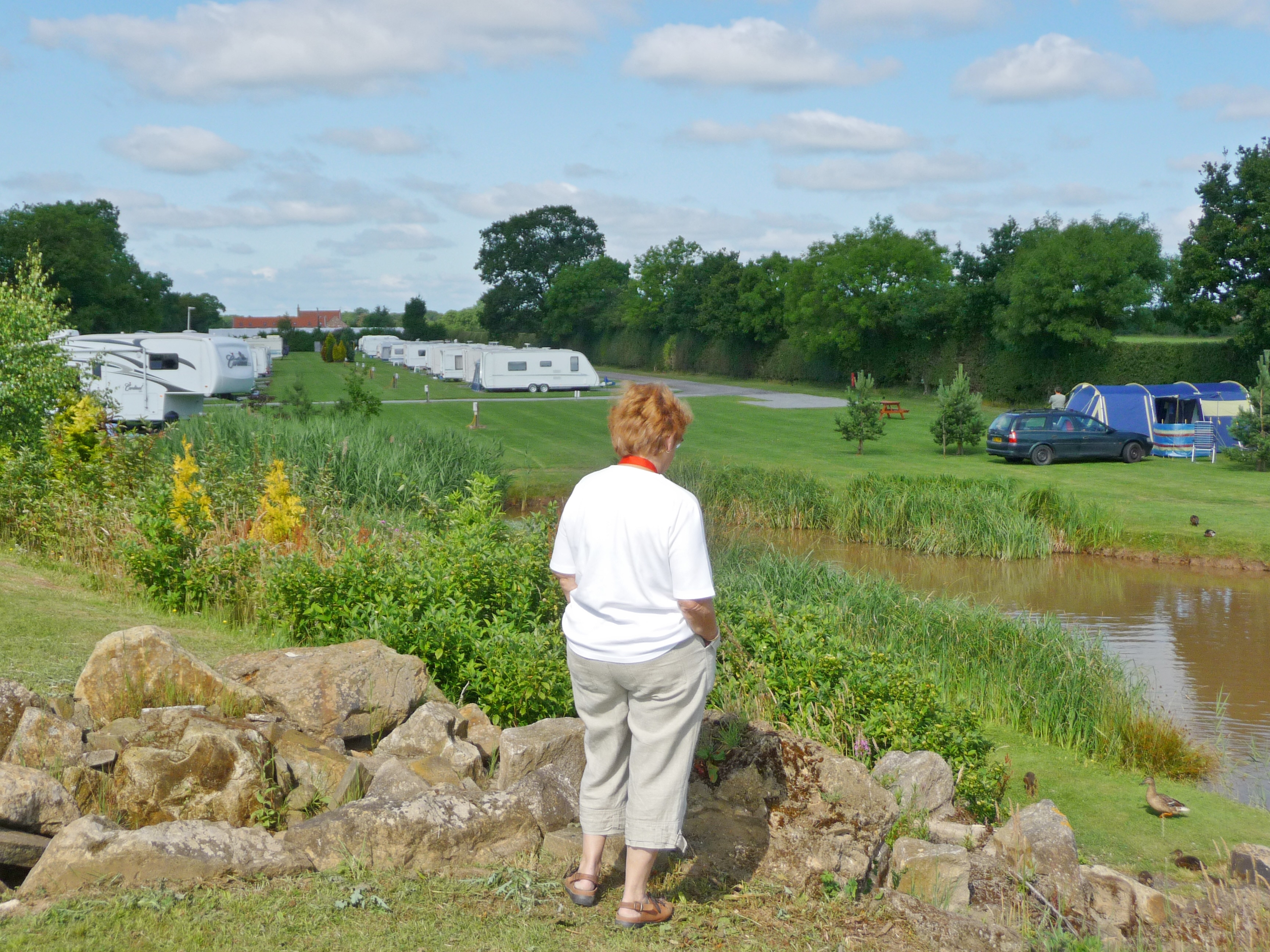 Willow Caravan Park