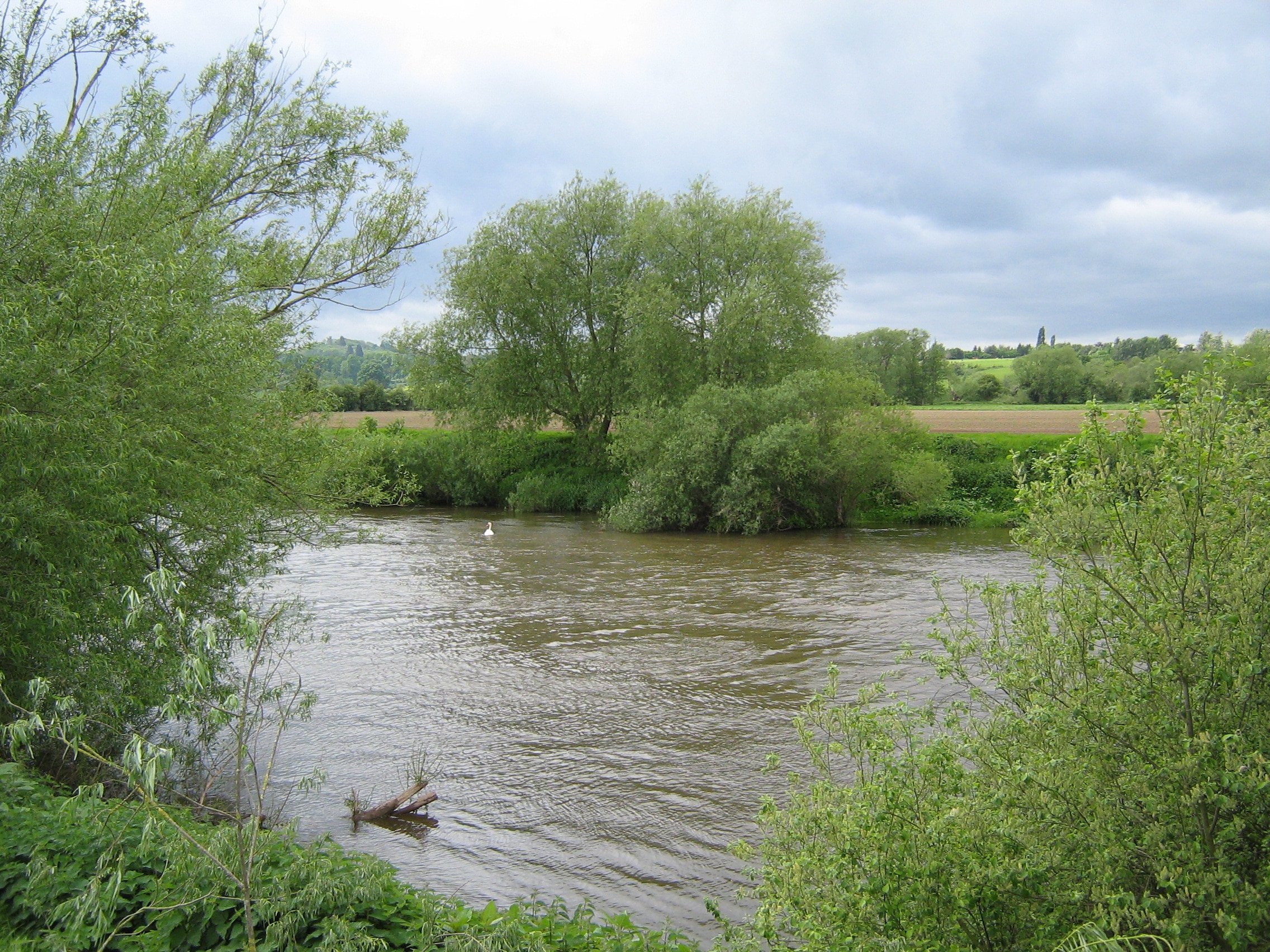 Lucksall Caravan and Camping Park