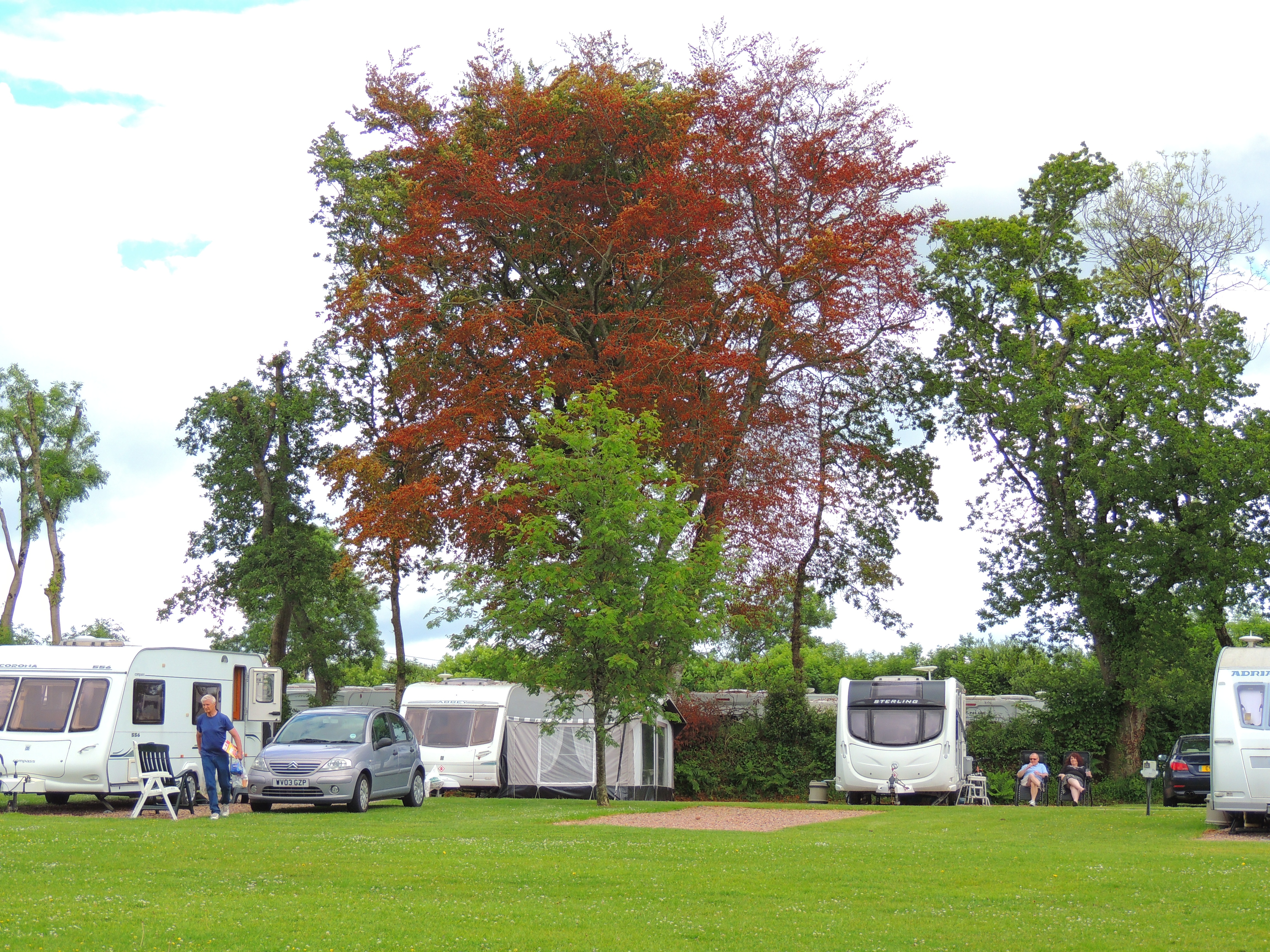 Kings Down Tail Car. and Camp. Park