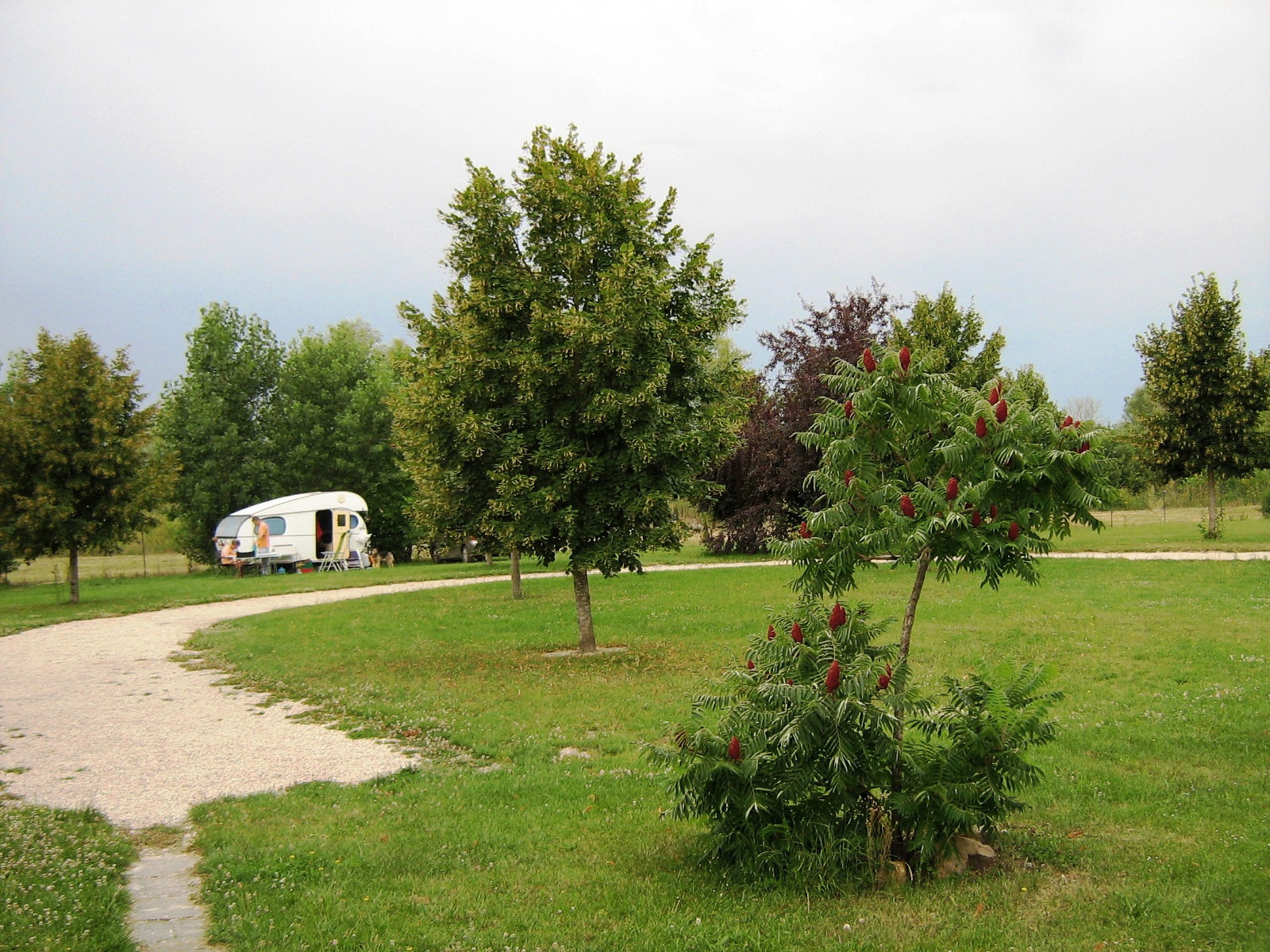 Camping des Joyeux Campeurs