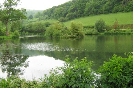 Newberry Valley Park