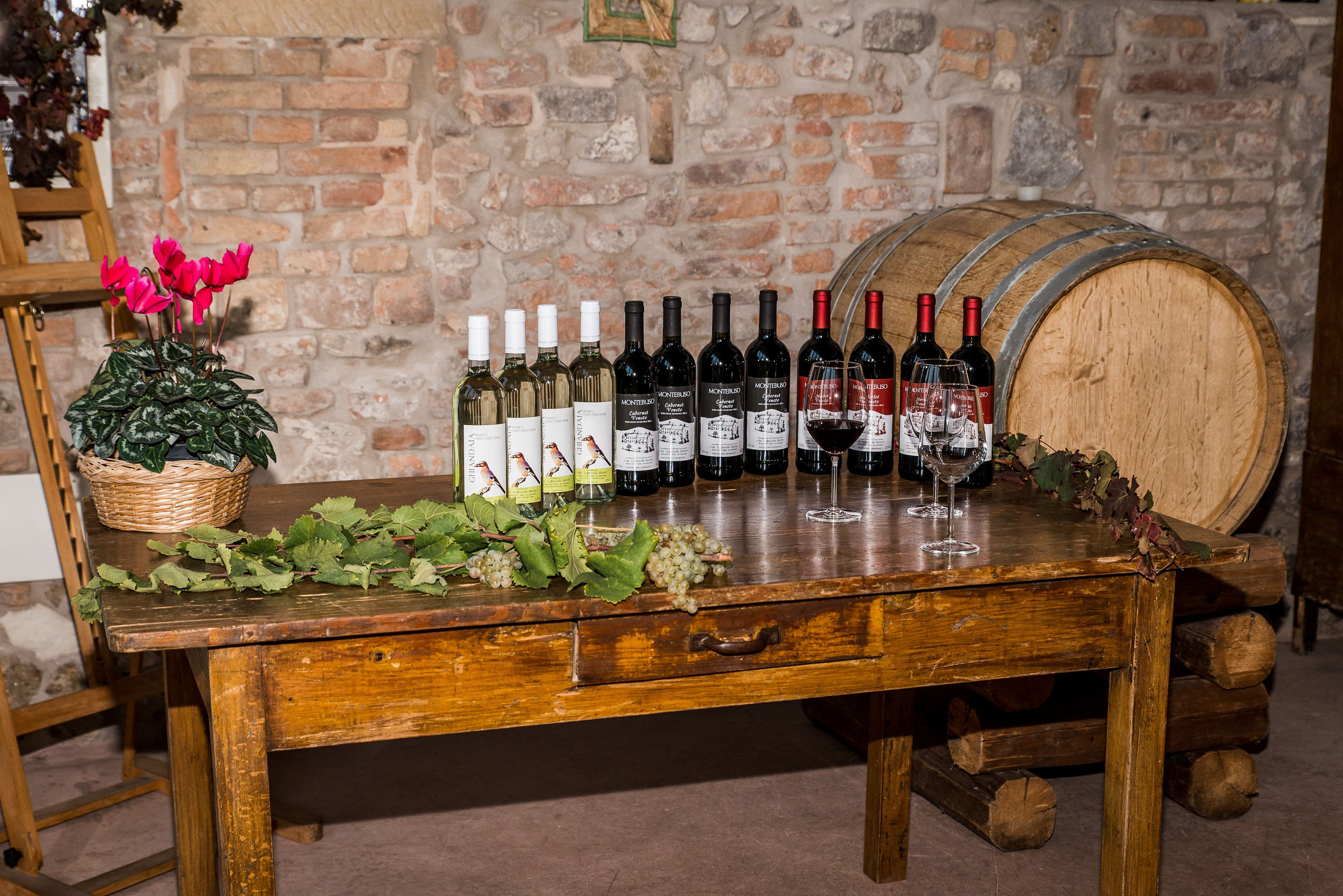 Camping Alba-Agricampeggio