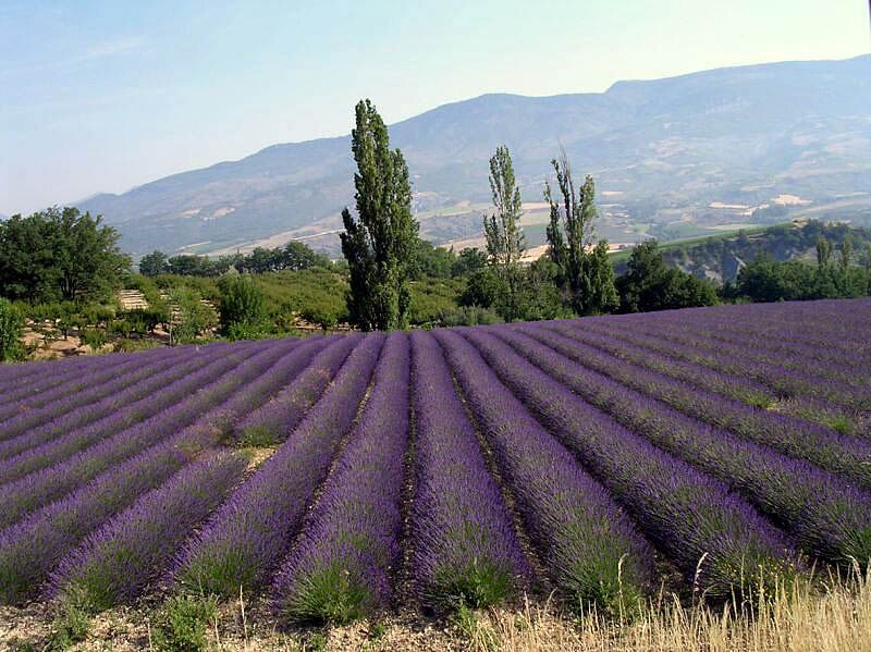 Camping La Fontaine d'Annibal