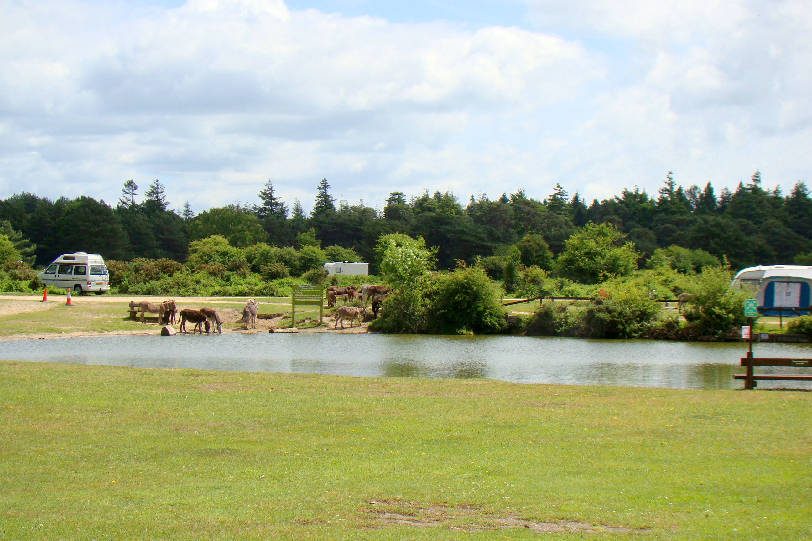 Roundhill Camping in the forest