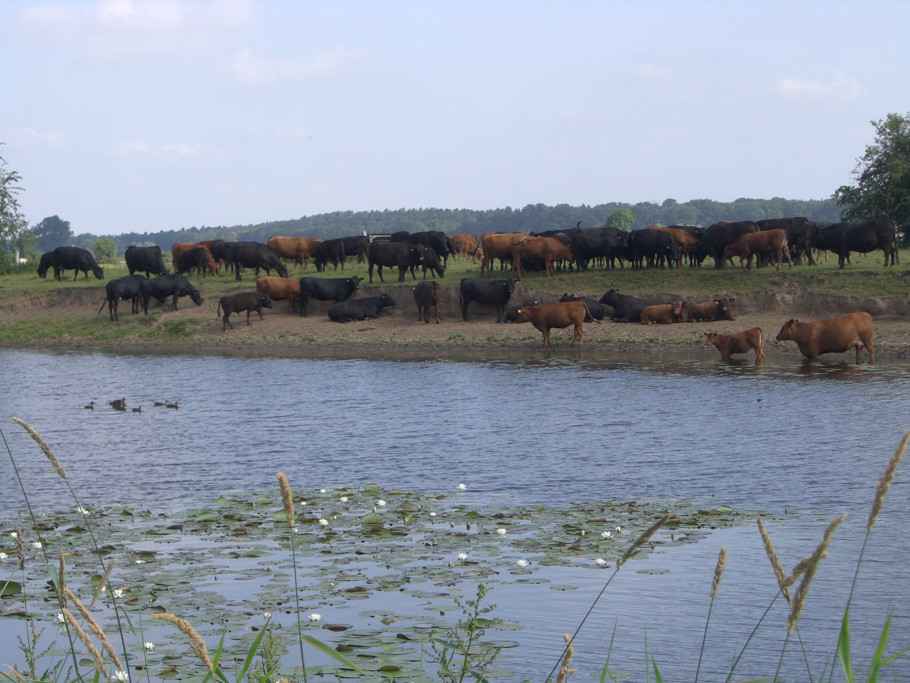 Camping Naturcamping Ahlden