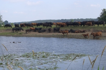 Camping Naturcamping Ahlden