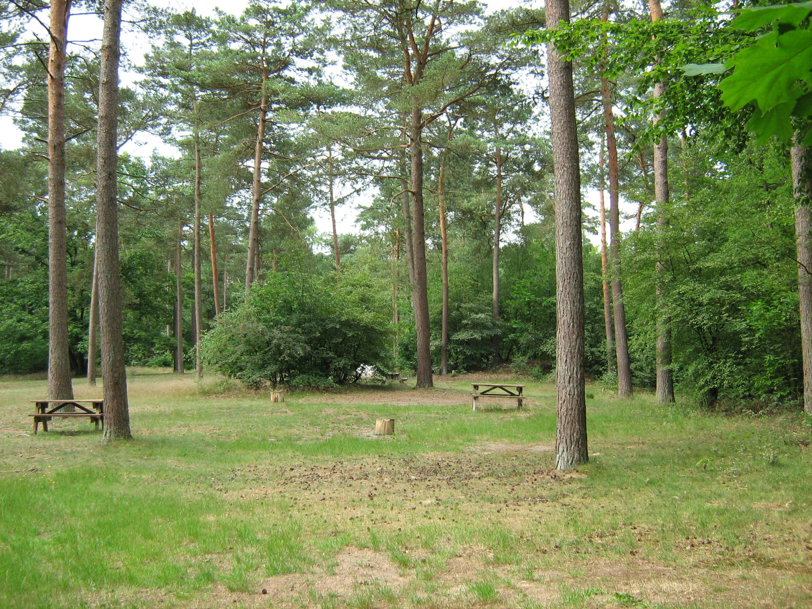 Natuurkampeerterrein Lheederzand