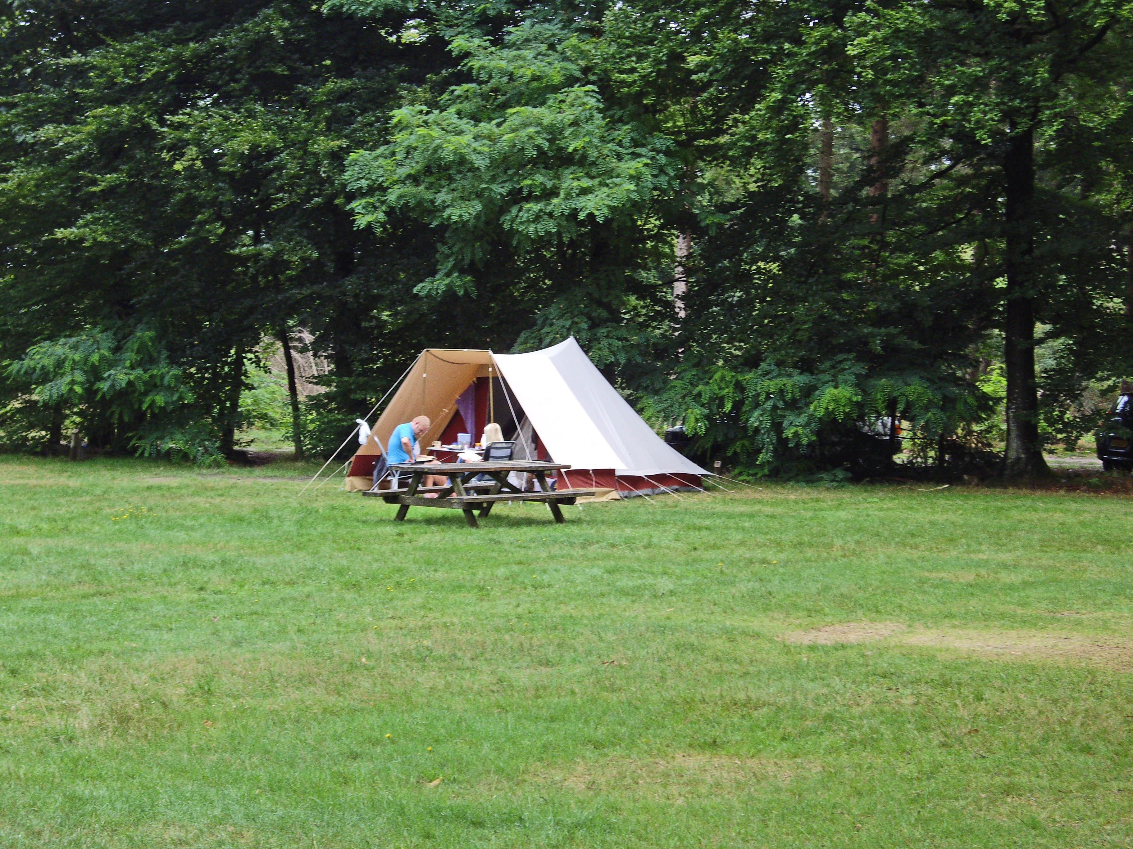 Natuurkampeerterrein Oude Willem