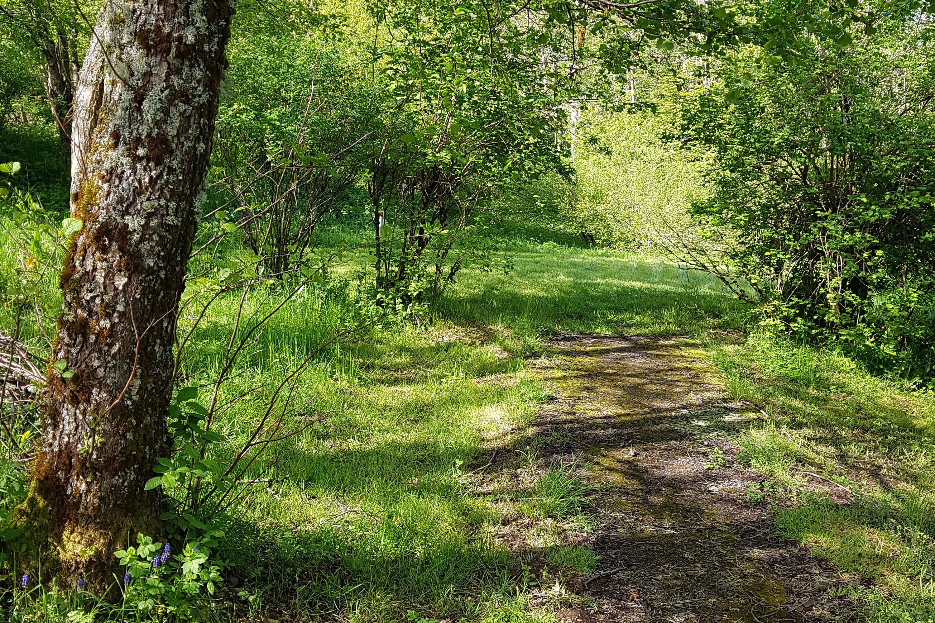 Aire Naturelle Lissart de Miège