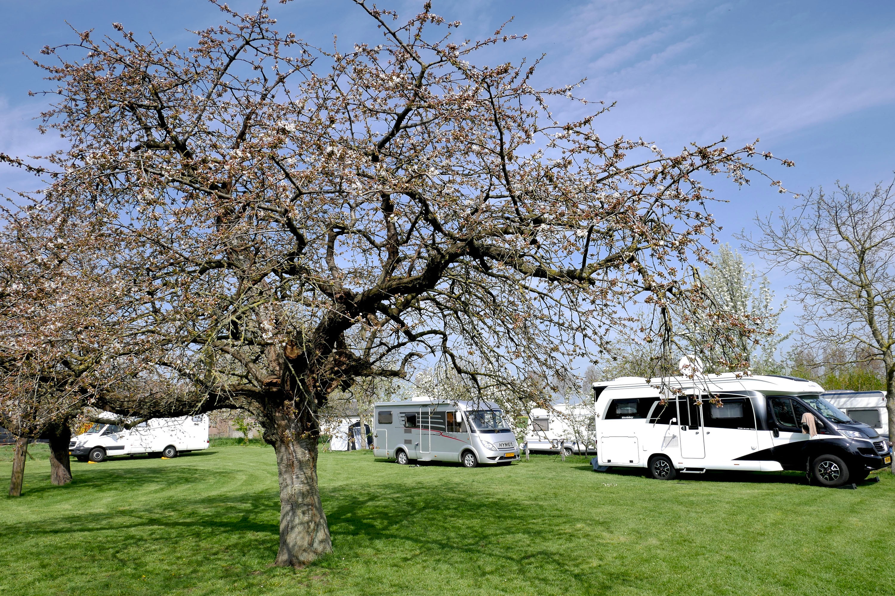 Camping De Bonenkamp