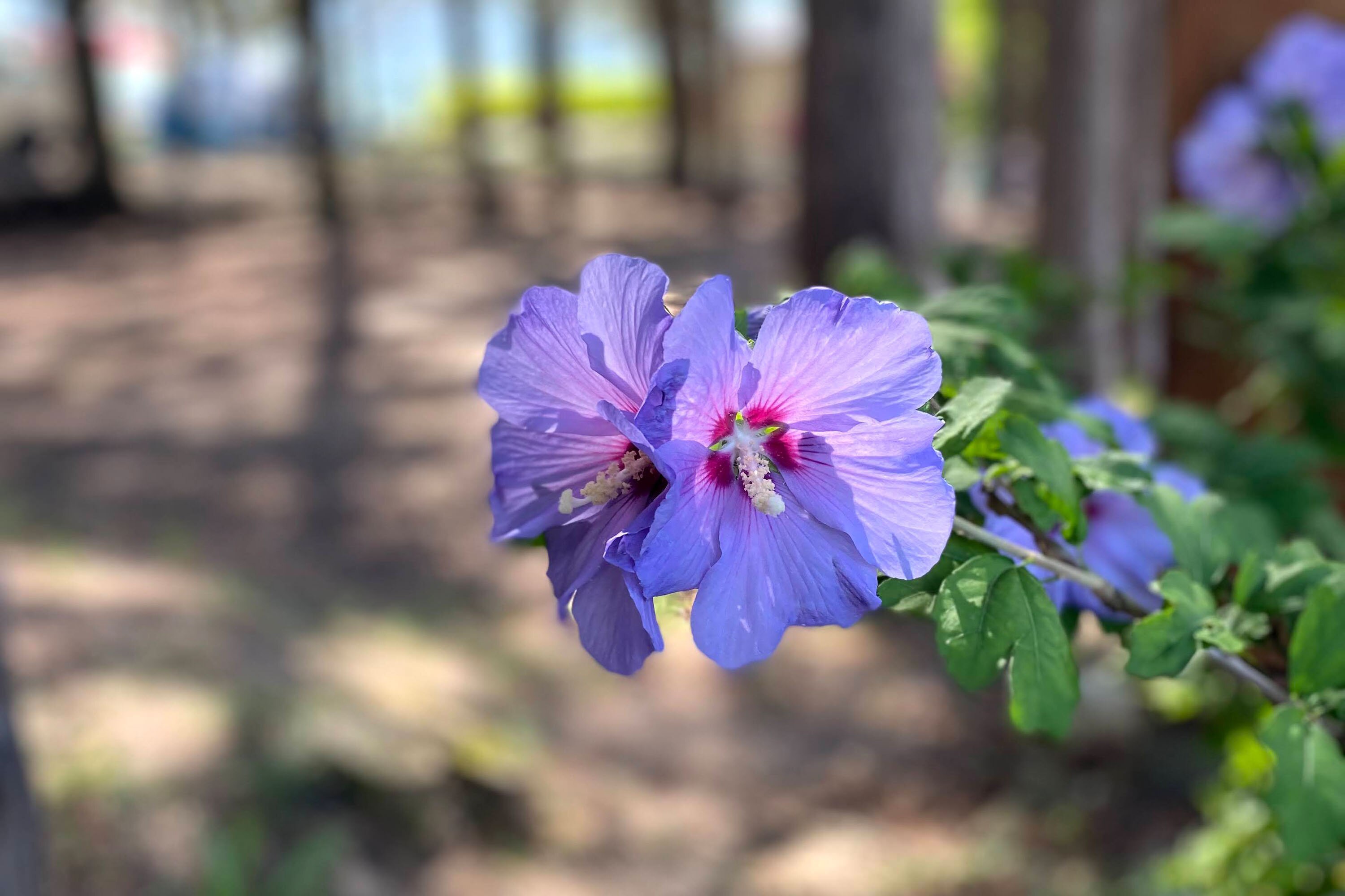 Camping Le Matin Calme