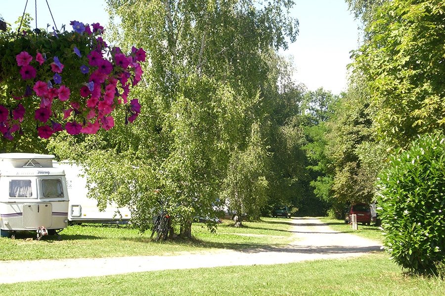 Camping L'Orée des Bois