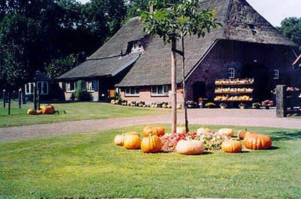 Boerderij-camping De Berkebomen