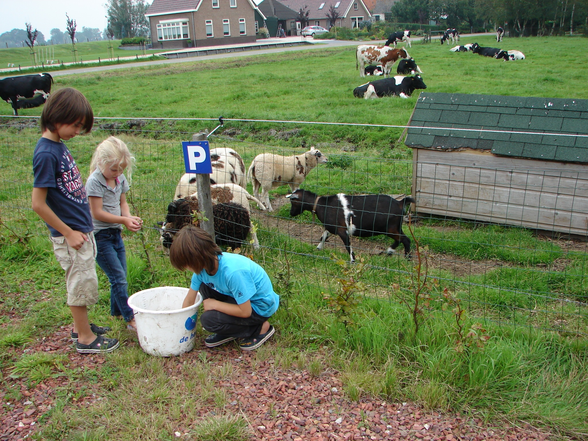 Boerencamping Buitenlust