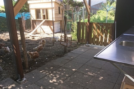 Minicamping Klaverblad