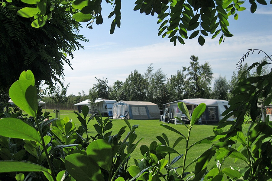 camping Minicamping De Vijverhof