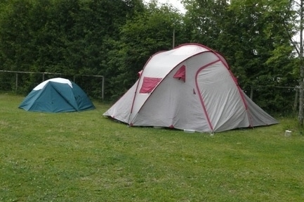 Campanula Camping