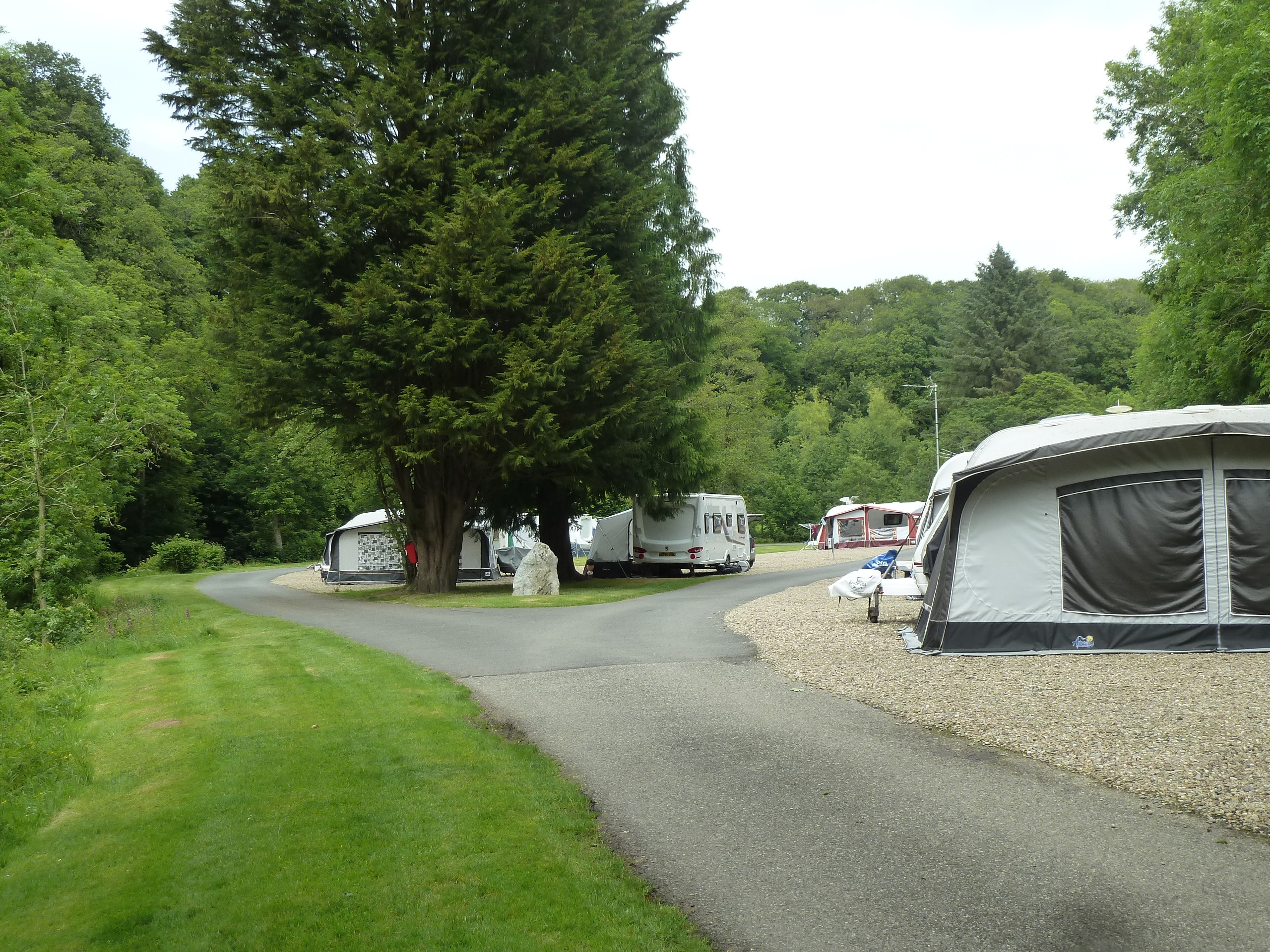 Llwyngwair Manor Holiday Park