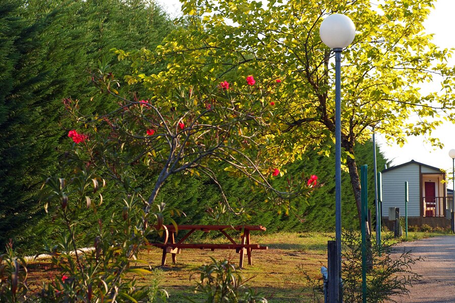 Camping Maceira