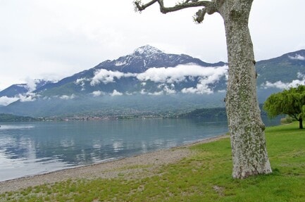 Camping Golden Sheep