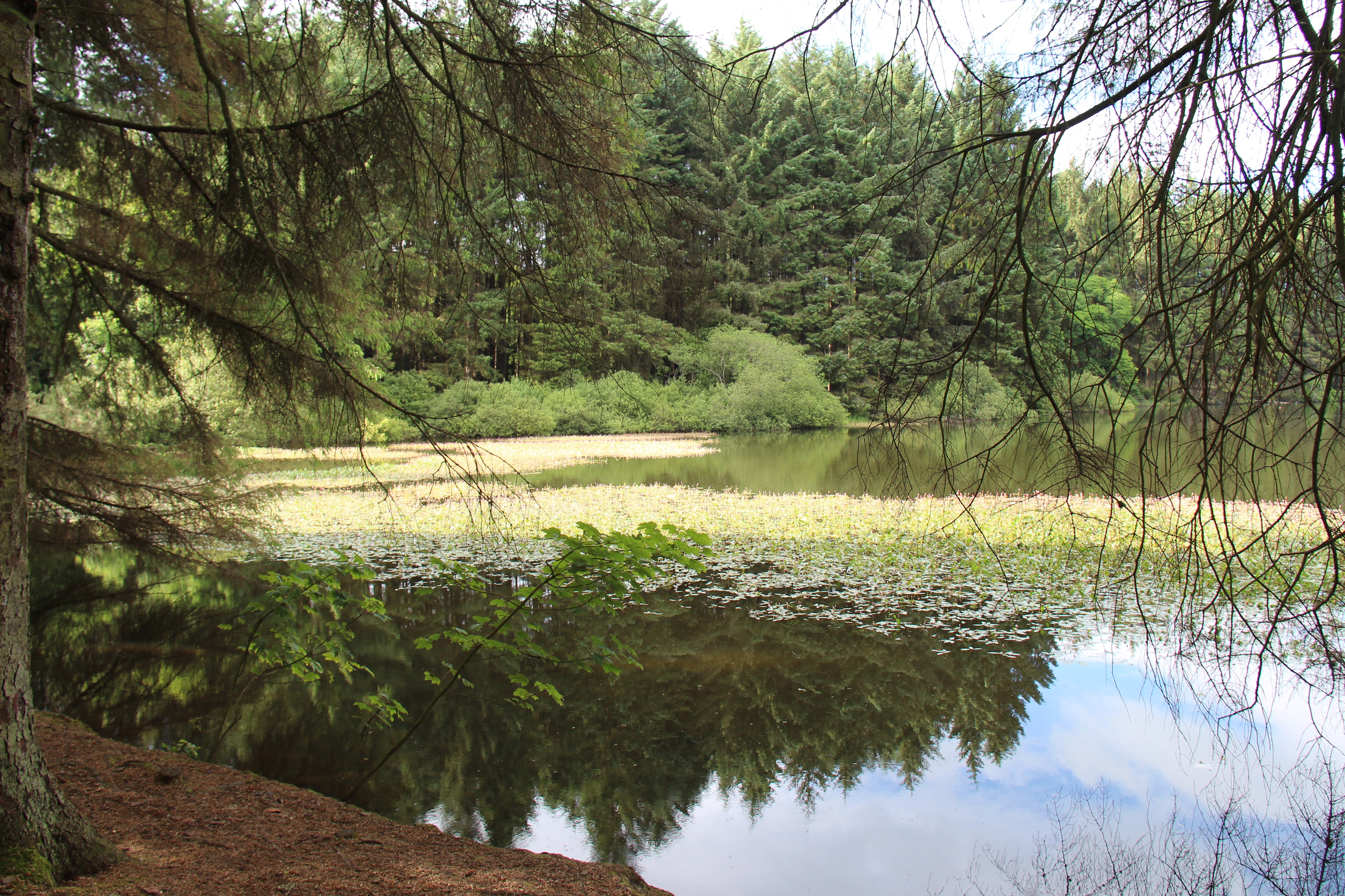 Beecraigs Caravan & Camping Site