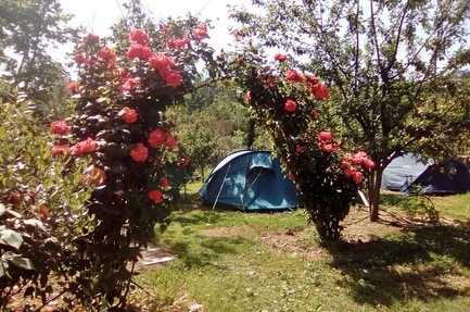 Agricamping Oasi del Belvivere