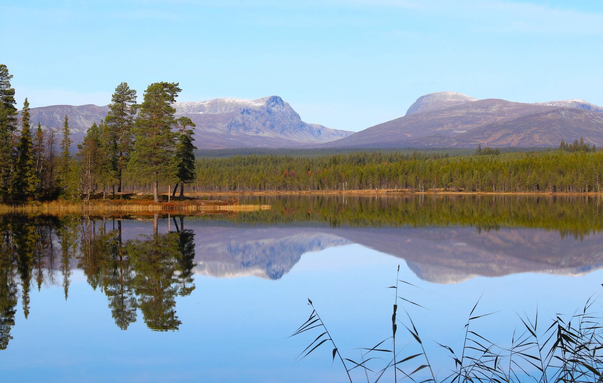 Valsjöbyns Jakt & Fiske camp