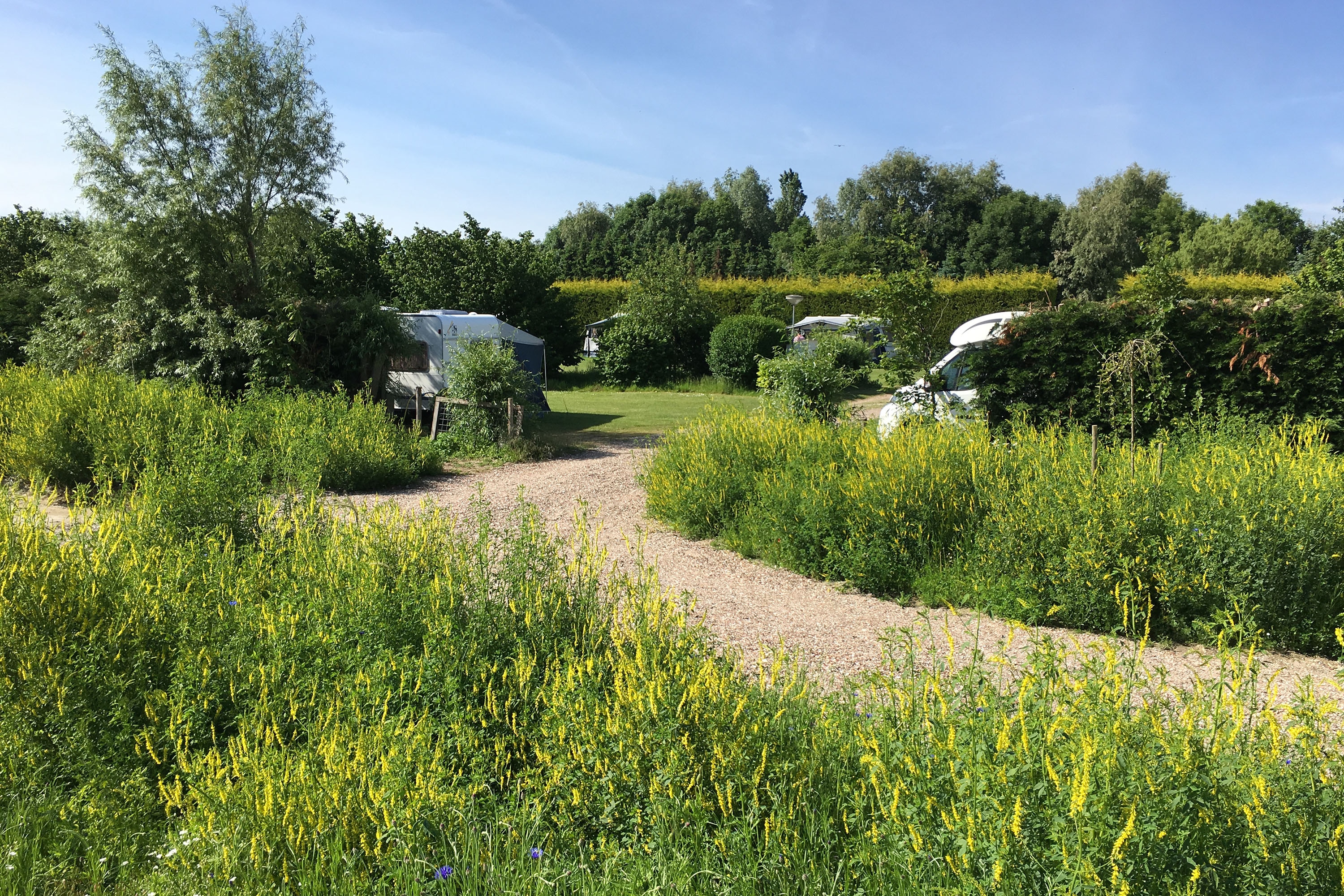 Camping Zonnehoeve