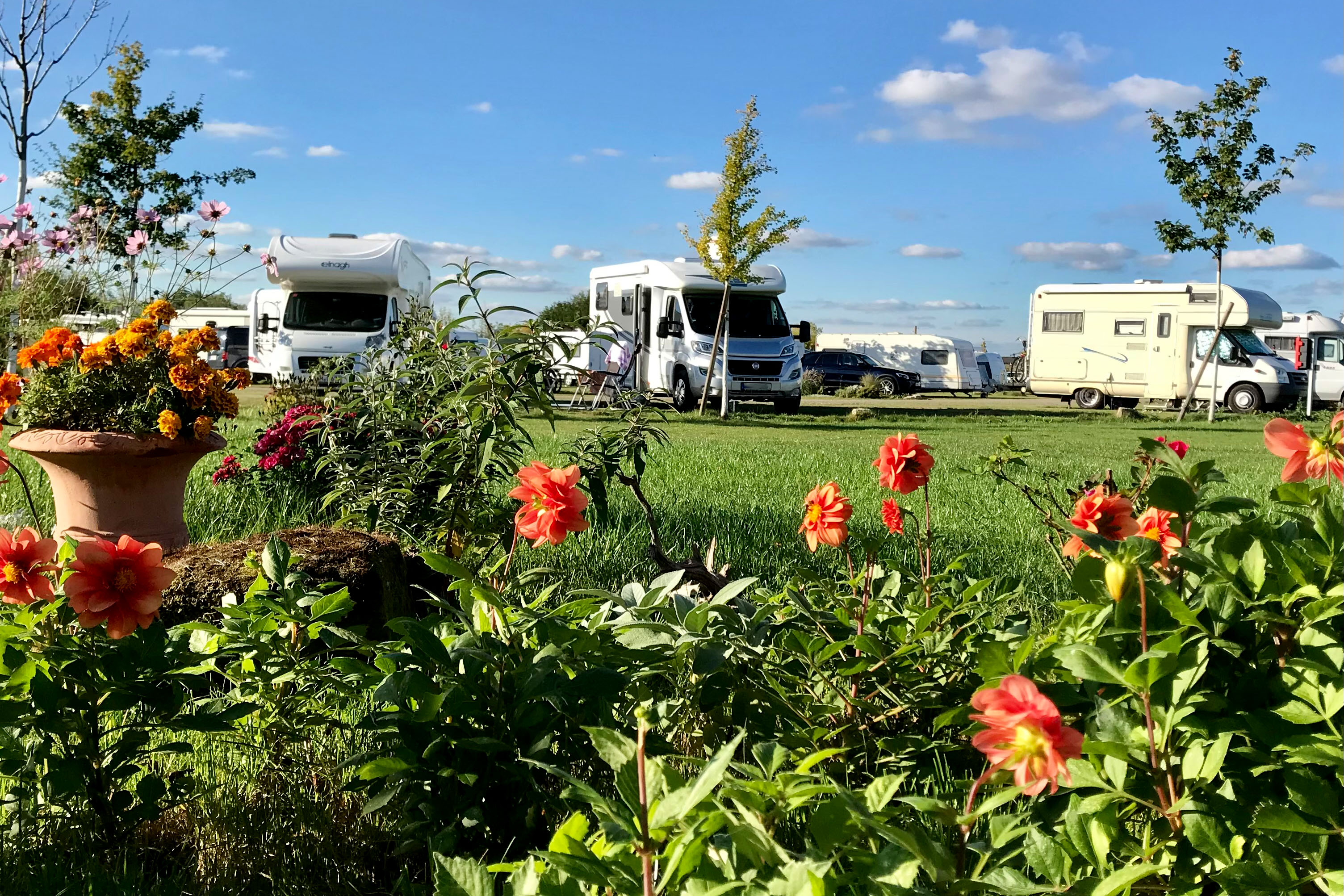 Campingpark Erfurt afbeelding