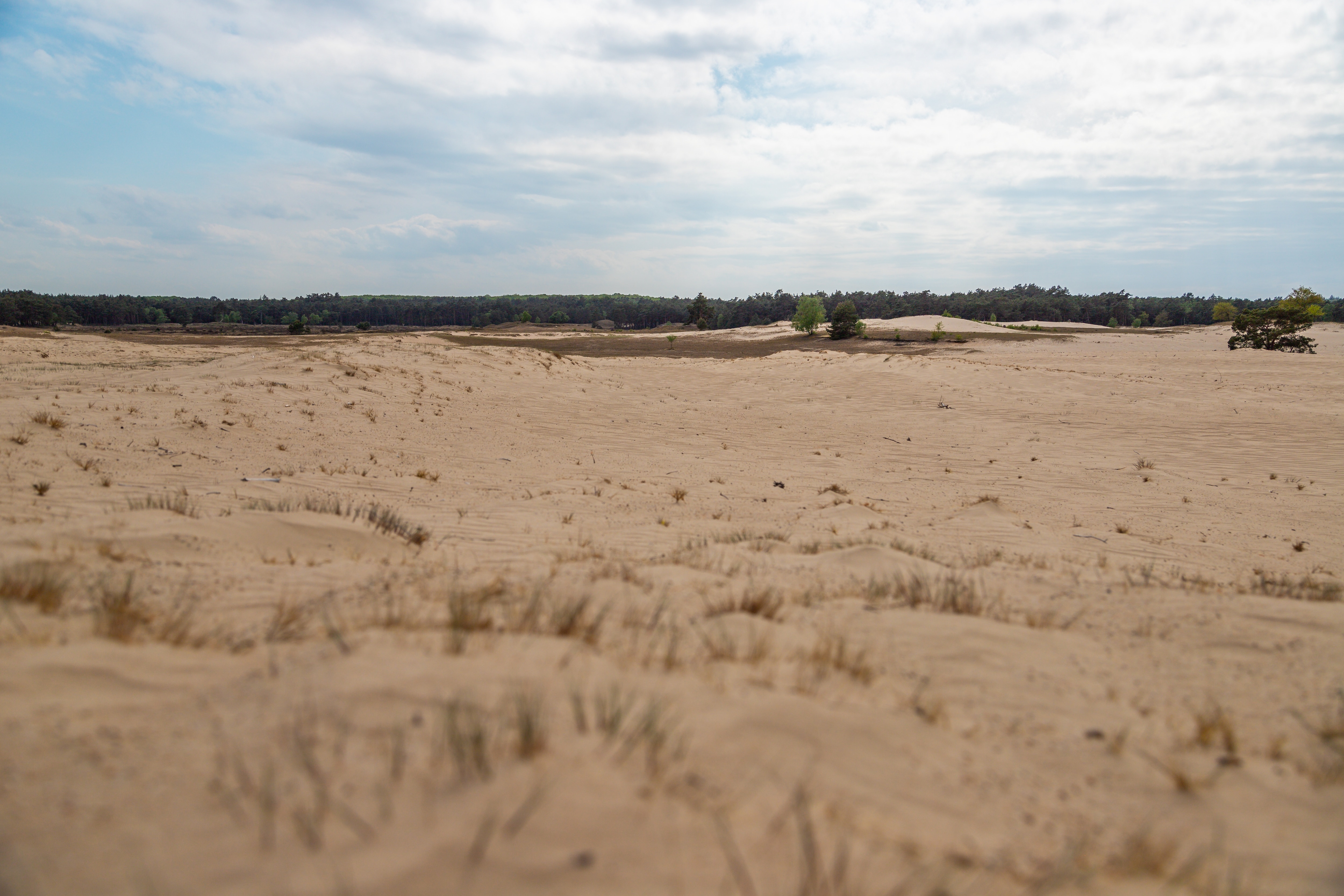 EuroParcs De Wije Werelt