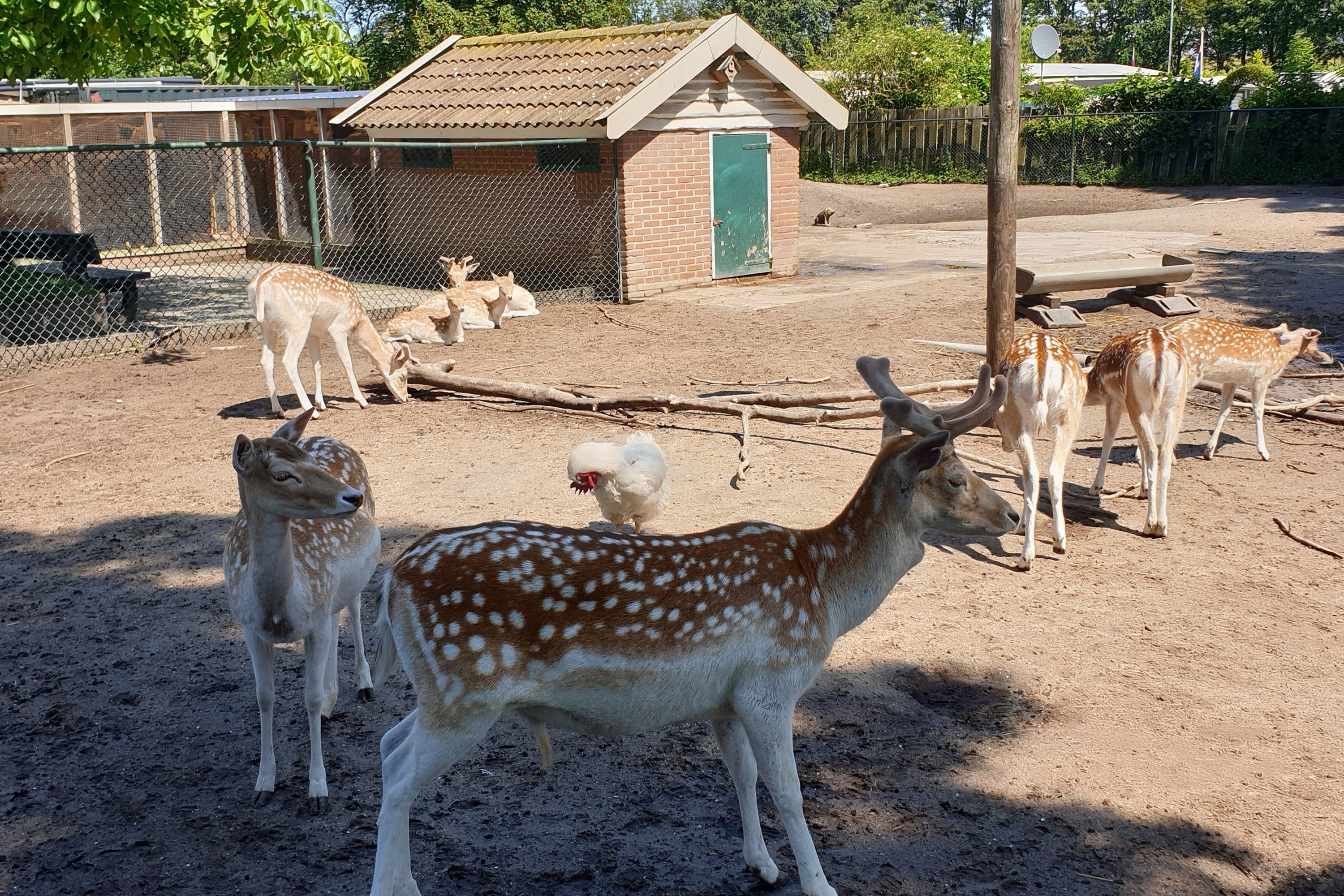 Camping De Krabbeplaat