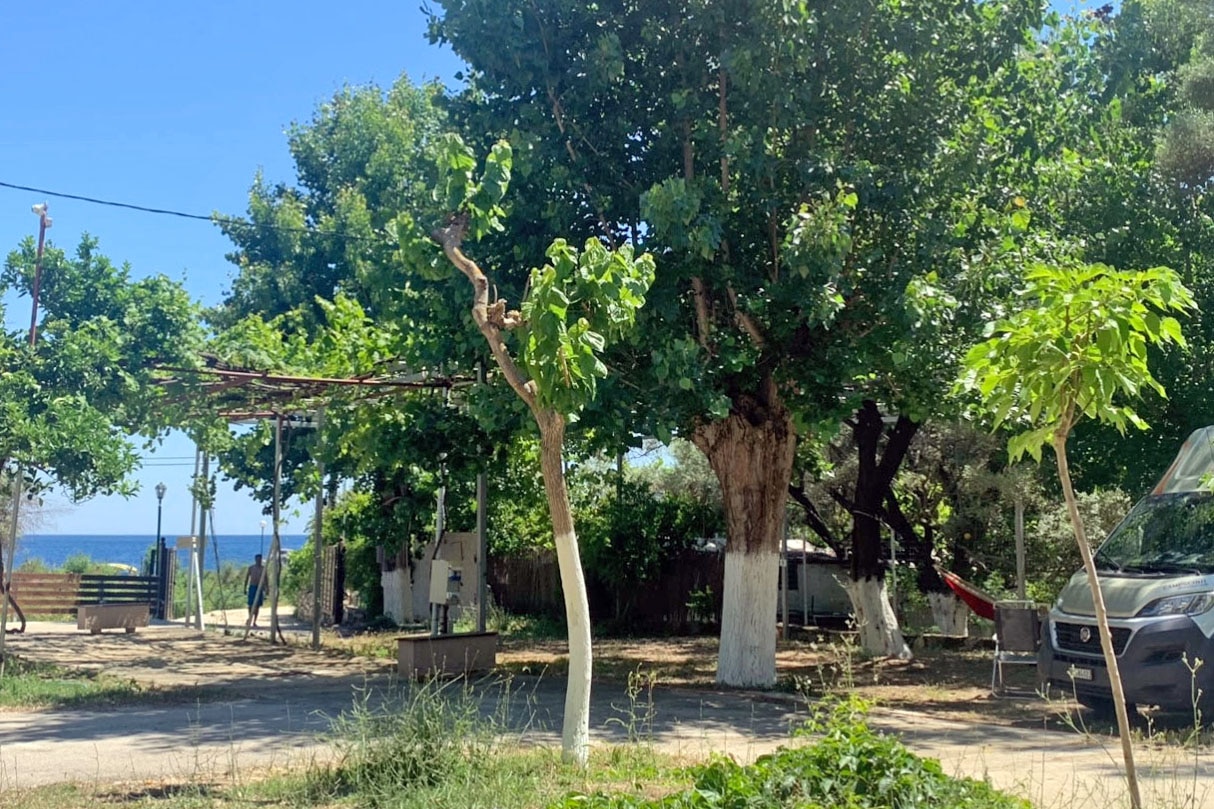 Camping & Bungalows Poros Beach