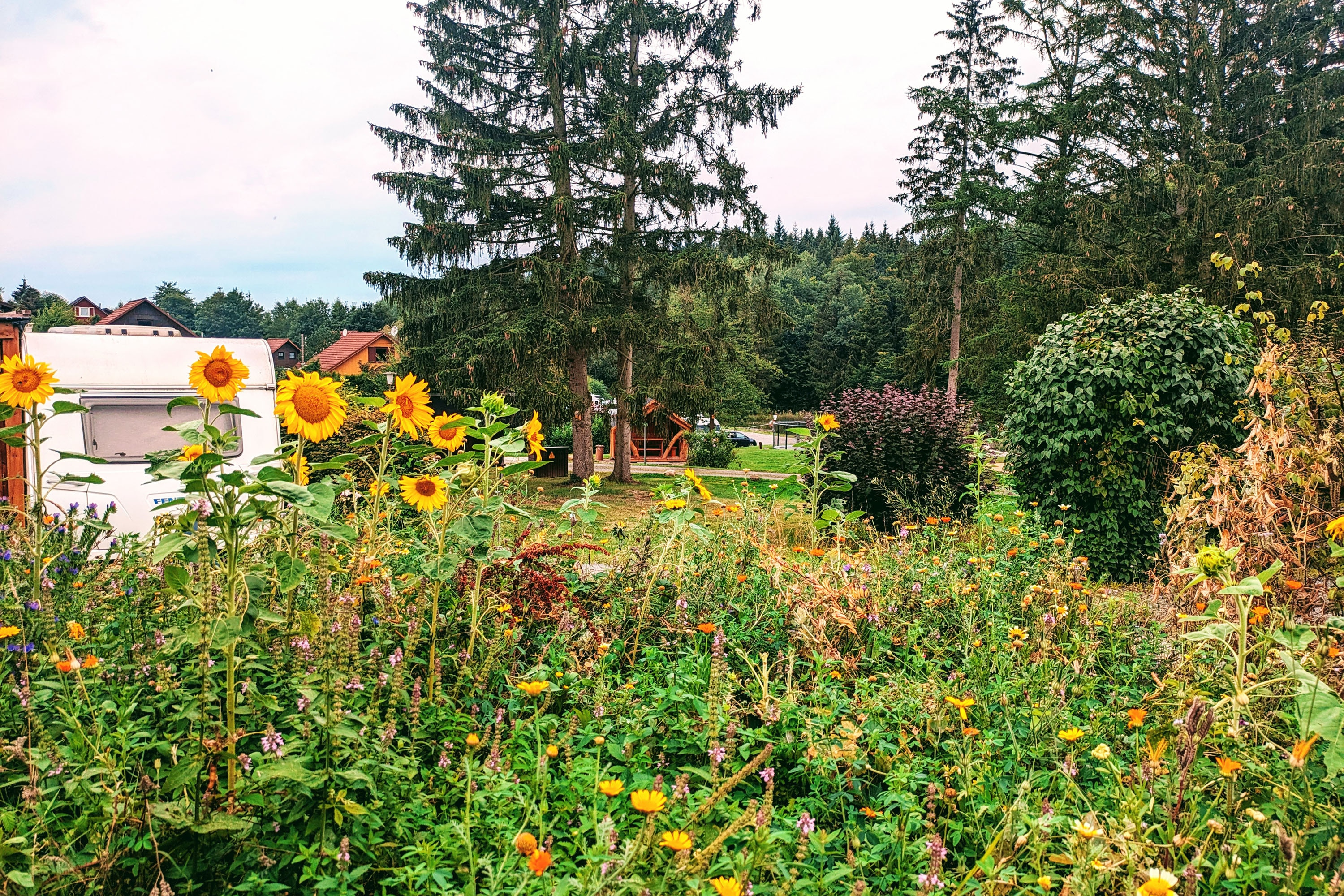Wohnmobil- und Campingpark Ambergau
