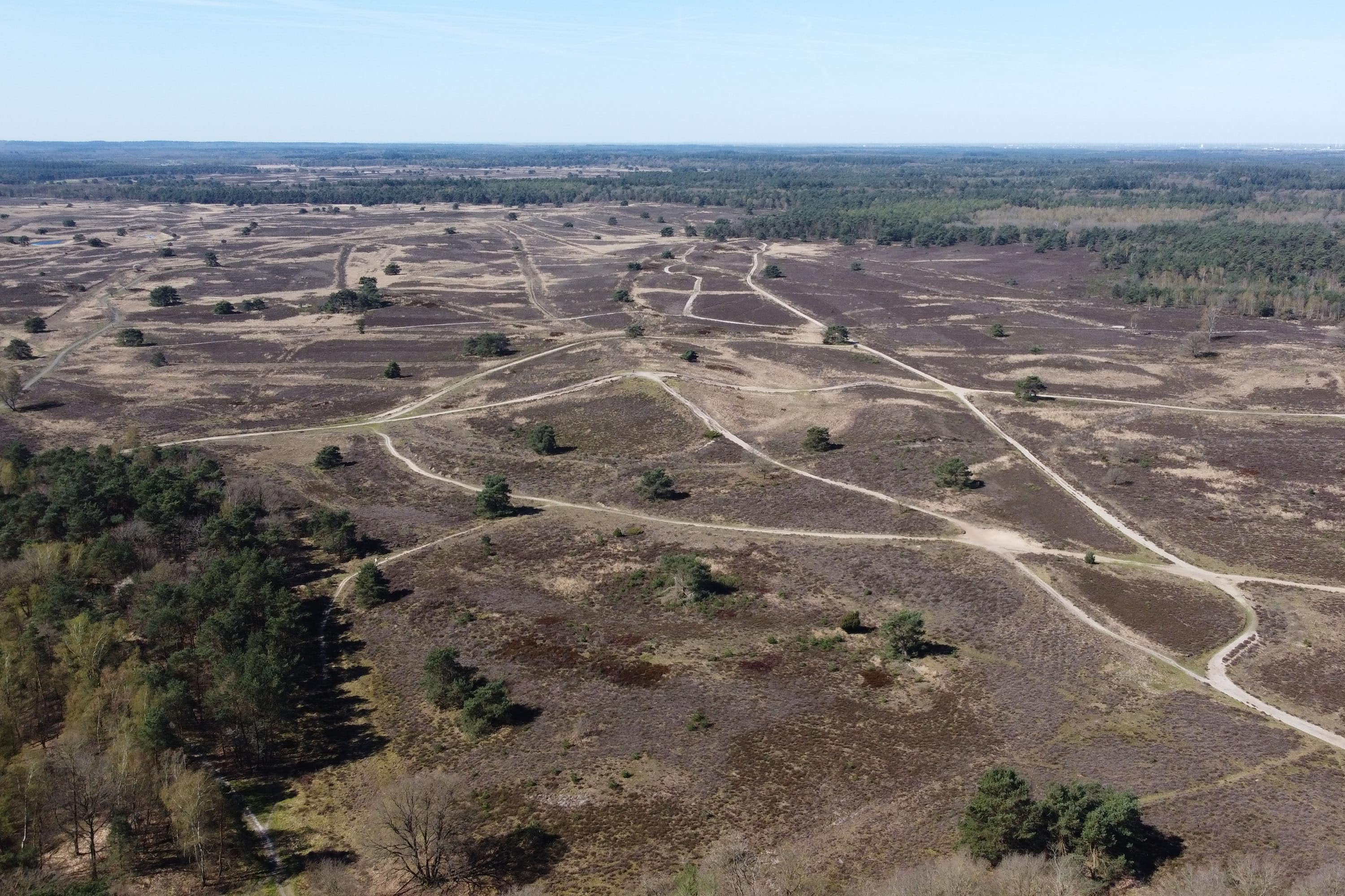 Heidepark Veluwschkarakter