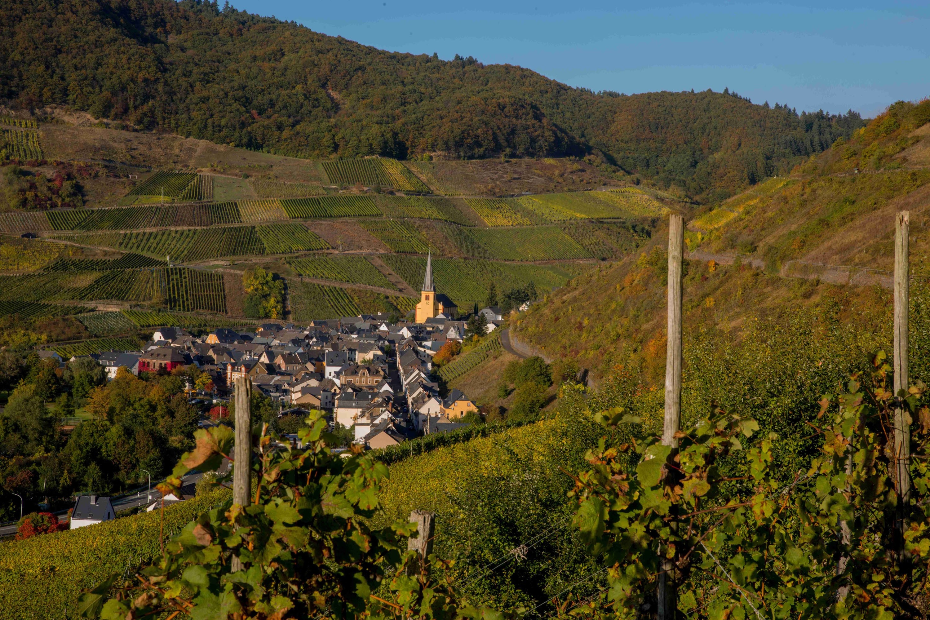 Camping Holländischer Hof