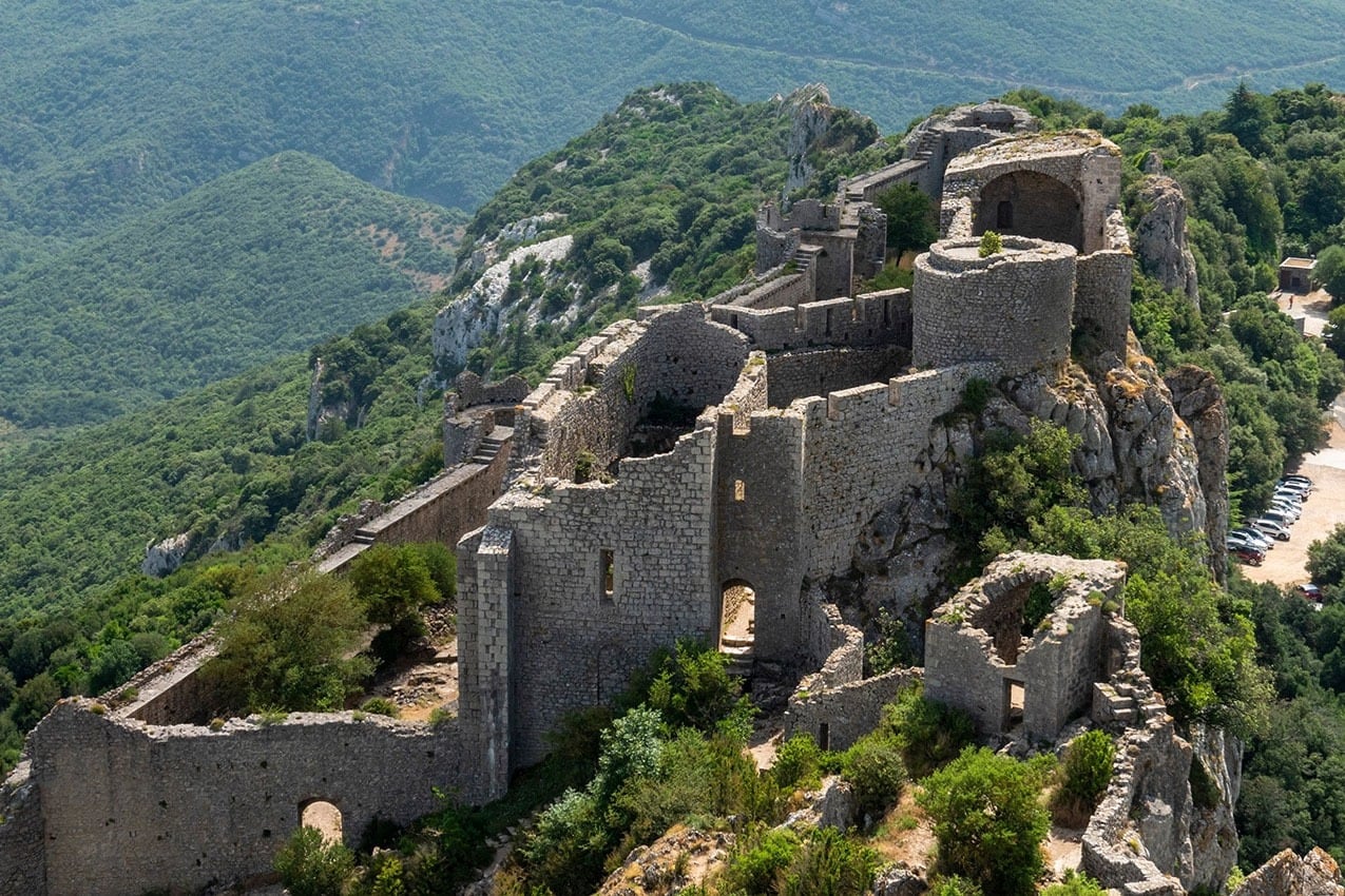 Flower Camping Innature