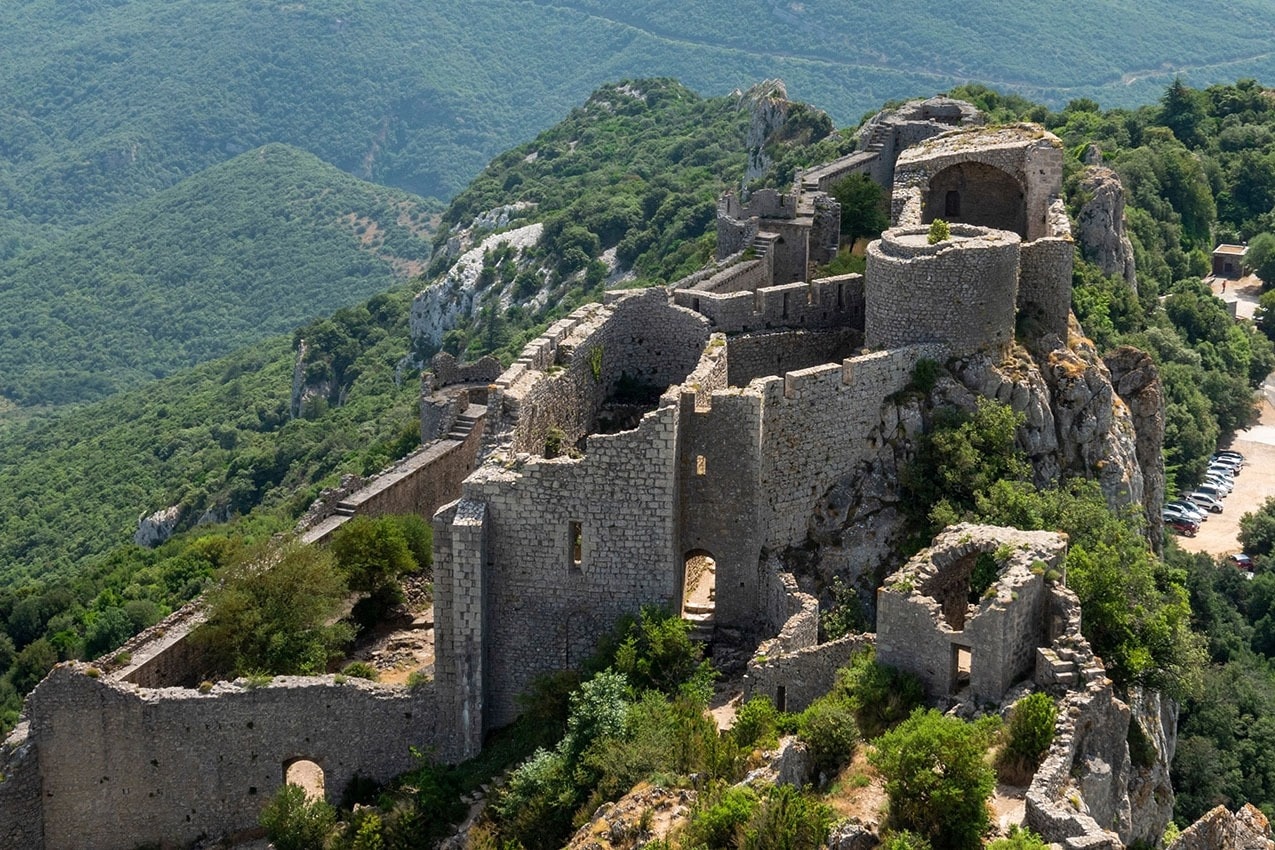 Flower Camping Innature