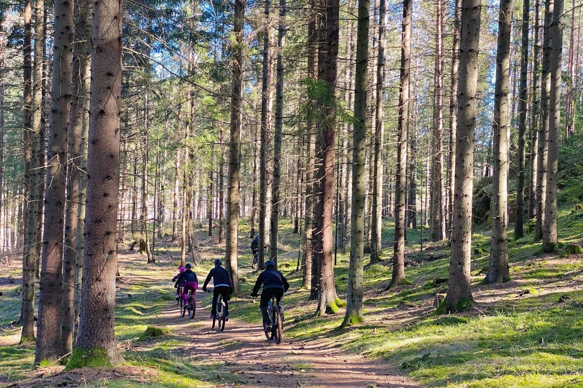 Camping Daftö Resort