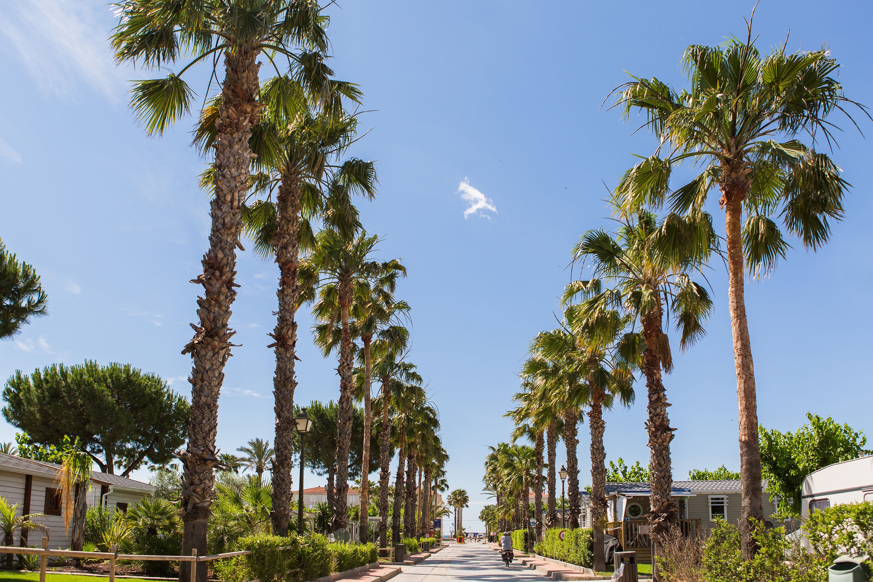 Camping Estival Vendrell Platja