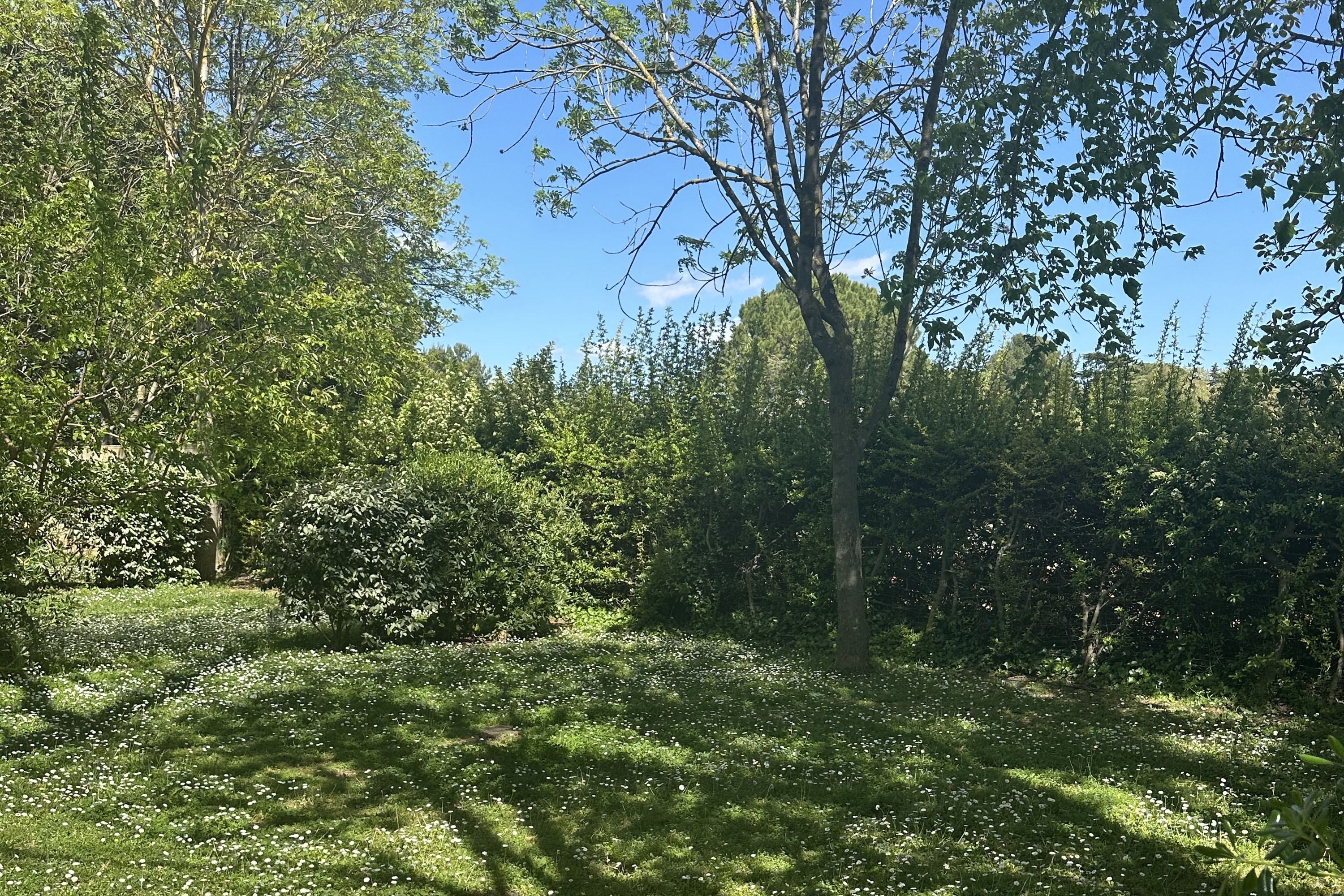 Flower Camping Le Fou du Roi